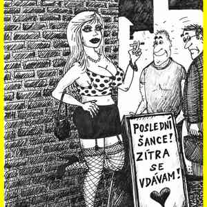 Vily vtipy č.19910 - 