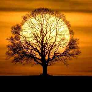 Obrázek uživatele Rostislav Kučera