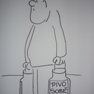 Obrázek uživatele Pavel Petrnoušek