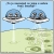 Roger Phillips vtipy č.79679 - 