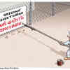 Clay Bennett vtipy č.1106 - 
