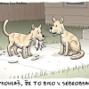 Clay Bennett vtipy č.1109 - 