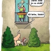 Dorthe Landschulz vtipy č.72683 - 