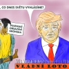 Jan Antonín Myslivec vtipy č.71741 - 