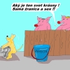 Ladislav Talčîk vtipy č. - 