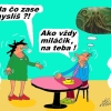 Ladislav Talčîk vtipy č.84884 - 