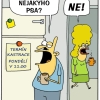 Martin Zak vtipy č.82816 - 