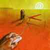 Pawel Kuczynski vtipy č.2179 - 