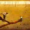 Pawel Kuczynski vtipy č.325 - 