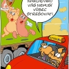 Ralph Ruthe vtipy č.67437 - 